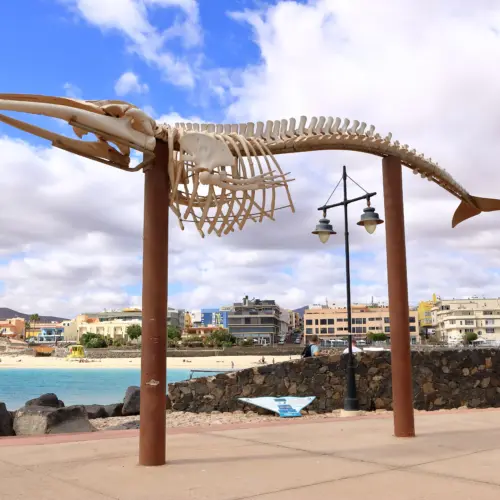 iStock-2155145495puerto del rosario_result